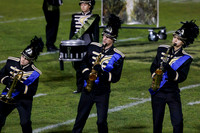 Band-014